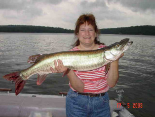 c2550f65-b740-42d4-ae31-790232aac156