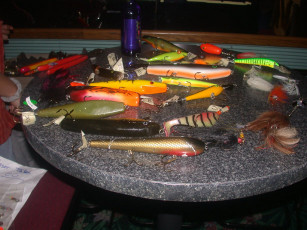 c28595c8-d223-46e5-9969-c31776721c6e