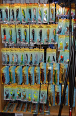 c2f21d32-cb2e-49bc-8c95-955ec3381bf9