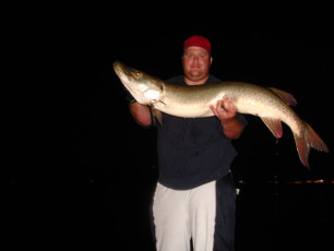 c348c8fb-8c17-4395-a8a7-feb6b8594a80