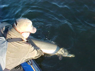 c59fa3d9-6c24-49df-8296-1571f996d3be