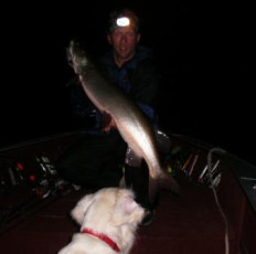 c5b4d7e6-d599-4553-8271-248209316158