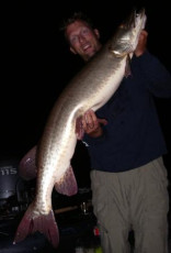 c5de7fd6-7881-45bd-ab01-d66d0399a31b