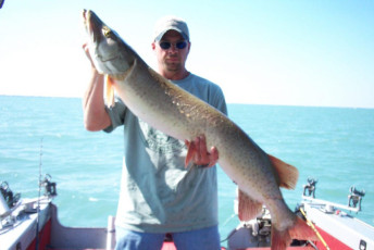 c624e3ca-1ace-42b6-b18a-d73667eded1c