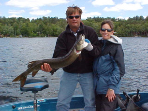 c655829f-04e8-4d3d-b303-02430e5409be