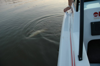 c6bc33e2-6680-45c7-9d78-074a24941efb