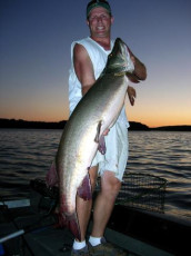 c6c6b77c-e2c8-4323-95a7-2dd6c6399032