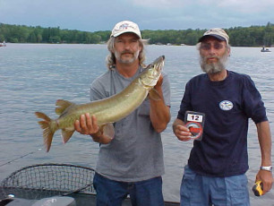 c7bd8292-6cae-4817-9c34-237a8cec00ec