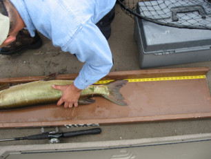 c82f9f95-e1d6-49c3-bab8-87a4079b8d39