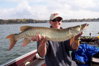 c8c54b17-5bf7-4d6b-990c-91d7aa0a74a0