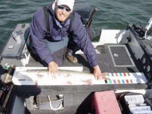 ca554f12-4818-4844-9277-ad9be0e008f6