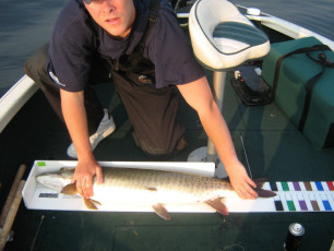 cb01eedb-28e3-4fef-a171-86f0dac1d474