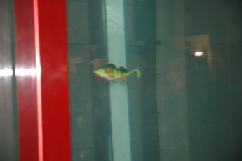 cb3f2bef-9ae1-4758-92b9-3024c38468d0