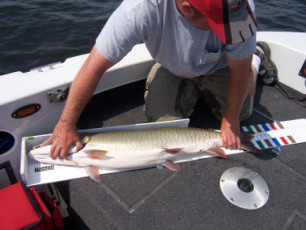 cbe10e57-7a34-47ad-96e2-f756198ace2a