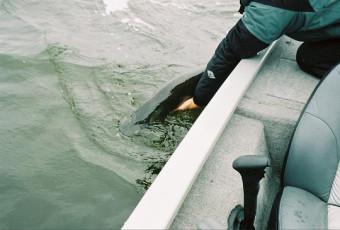 ccf1c155-4820-4330-bc2d-36b6cb661745