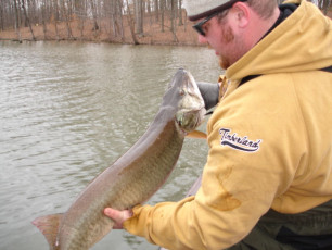 cdd0e033-c5d3-485c-afc0-25bd11c3ea3a