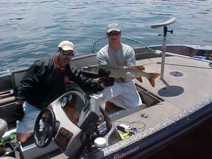 cde3bccd-0588-4ae1-a9db-9517bad4c9b7