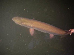 cdf4376a-ef11-48be-8420-27d840623da3