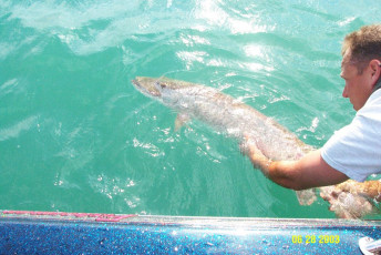 ce2d07a1-864b-4c1b-b72a-e784f1237d05