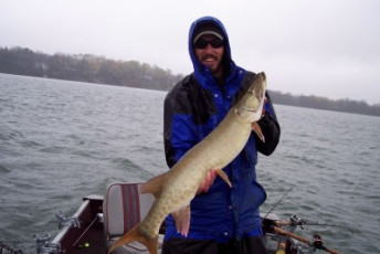 cf215068-033f-46c0-8a18-37961d670769