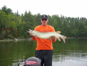 cf696f59-3ad8-4300-8de1-a5a1200cac38