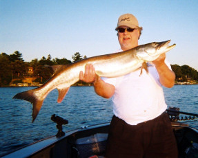 cf6f0c53-b017-4567-8c3a-5399e828fb26