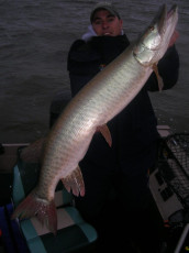 6474B234-4624-4678-8DAD-74E499474593