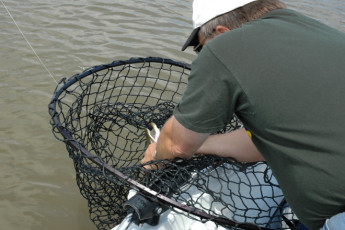 d058aa89-6594-40db-aec6-6e7fa2b5b54f