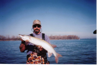 d06e1624-cc82-4e26-bfe1-a598045f910e