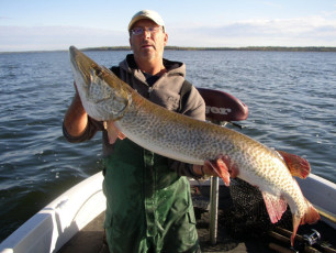 d075b330-a271-4f9c-920a-8a34e00a6b3a