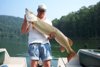 d0d37c62-9f59-4f8d-ac54-d448c6df1f57