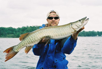 d0ed5a8b-9dfa-4374-909d-72d547981df2