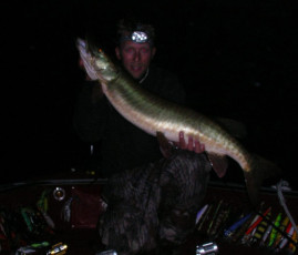 d15331fb-5bce-4c4c-a03a-d2131f0c5b6b