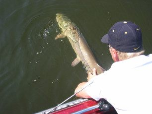 d1cfabe8-27c9-48f3-a534-acfb878e9ba3