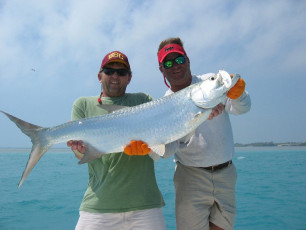 d20dfeb0-1ae6-4130-9496-a3e55f056c91