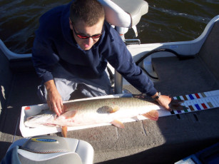 d215c816-2630-4696-a84d-337fc7521a27