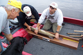 d2764a7c-4664-47fa-8a16-27e5d6475c7b