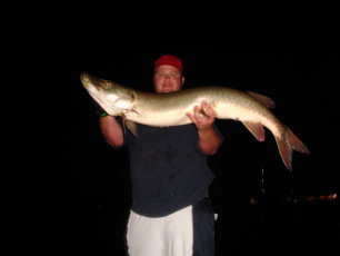 d298ea48-4290-4596-8194-8d43281b6328