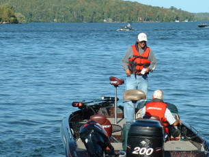 d3a95f74-84c6-4f8d-a126-698bd8b2cabb