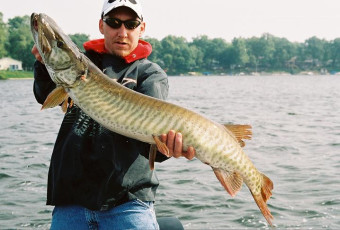 d3b8c8ef-a97e-4005-a824-171ce22ef618