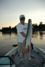 d3f2048a-3113-4824-a176-a66e4bfcf722