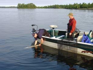 d48ed4e6-5b0a-4aae-b848-bd918861f6fd