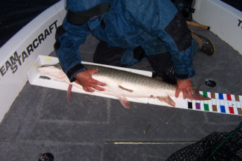 d5654119-05c3-4e85-bb95-d45d7f5b17a1