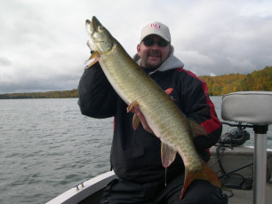 d763a3f7-d216-4d15-992e-3af48da896ca