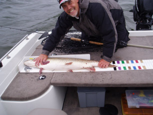 d76cc76a-267c-4467-b6dc-feb69cfe93eb