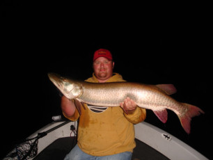 d77d7564-e8d7-4fdd-8303-2870b82874cb