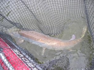 d93c6756-fd05-42c6-a623-d4761d9f0253