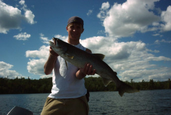 db897eb3-fcfe-4aa8-b676-0886d30c2577