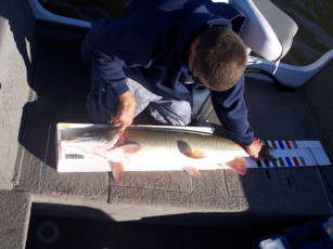 db9891a9-940b-44b1-9c12-3dd505ff20cc