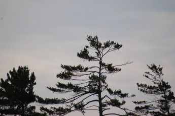 dd3c2d86-cc09-4554-a37d-287d4e38a321